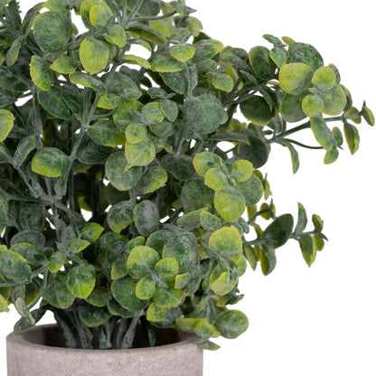 Artificial Green Eucalyptus Plant with Realistic Rounded Leaves in Rustic Stone-Effect Pot – Small Faux Potted Eucalyptus 23x19x19cm close-up showing layered rounded leaves with realistic green colour variation and fine surface texture | Click Style