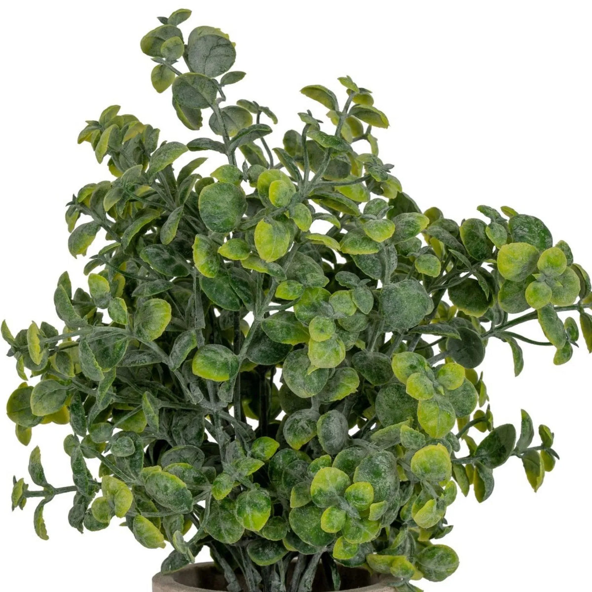 Artificial Green Eucalyptus Plant with Realistic Rounded Leaves in Rustic Stone-Effect Pot – Small Faux Potted Eucalyptus 23x19x19cm close-up showing rounded silvery-green leaves and branching stems | Click Style