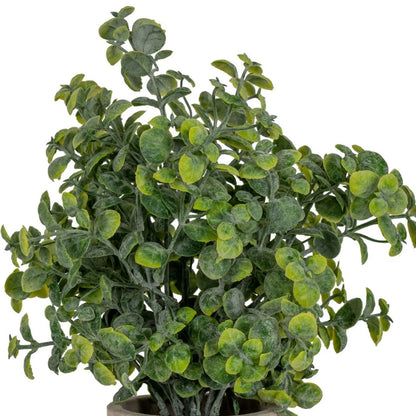 Artificial Green Eucalyptus Plant with Realistic Rounded Leaves in Rustic Stone-Effect Pot – Small Faux Potted Eucalyptus 23x19x19cm close-up showing rounded silvery-green leaves and branching stems | Click Style