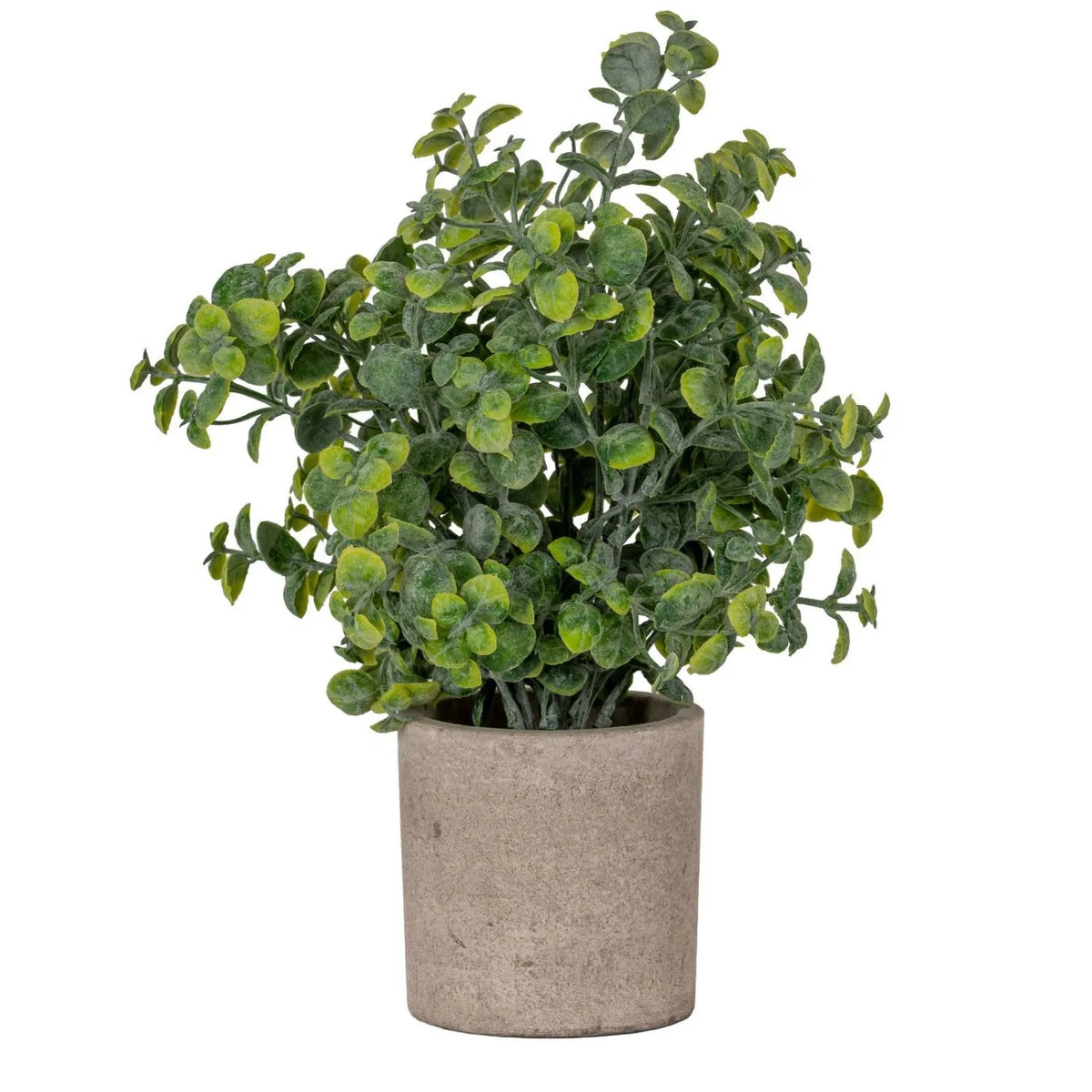 Artificial Green Eucalyptus Plant with Realistic Rounded Leaves in Rustic Stone-Effect Pot – Small Faux Potted Eucalyptus 23x19x19cm shown in full front view with natural green foliage against a white background | Click Style