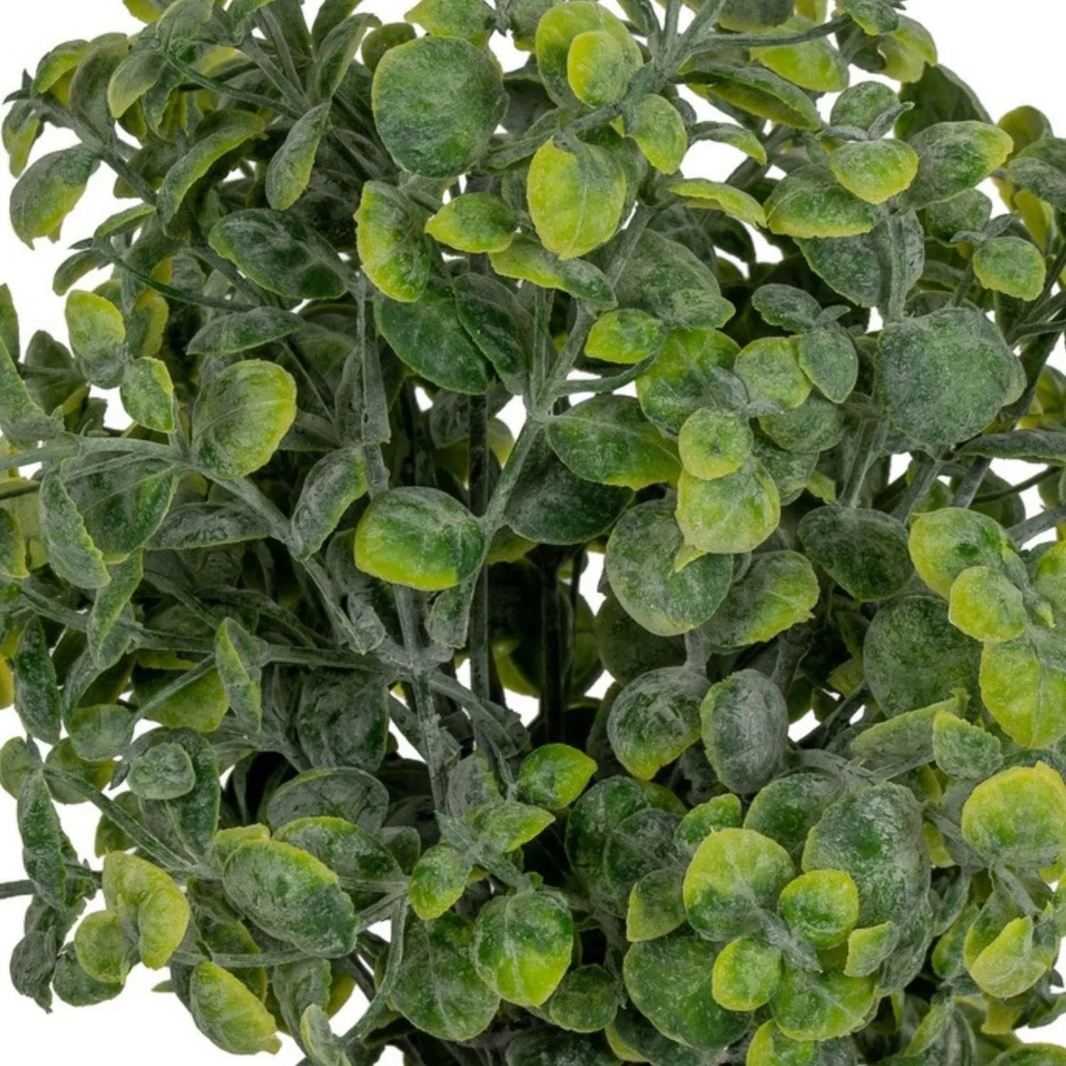 Artificial Green Eucalyptus Plant with Realistic Rounded Leaves in Rustic Stone-Effect Pot – Small Faux Potted Eucalyptus 23x19x19cm detailed close-up of textured rounded leaves in mixed green and muted silver-green tones | Click Style