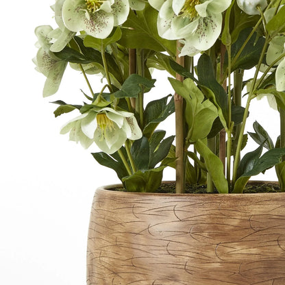 Artificial Green Hellebore Plant in Textured Taupe Pot – Realistic Green Faux Christmas Rose Flower Arrangement 85x52x52cm – Close-Up of Textured Taupe Pot, Stems, Green Foliage & Hellebore Flowers | Click Style