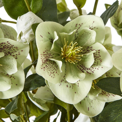 Artificial Green Hellebore Plant in Textured Taupe Pot – Realistic Green Faux Christmas Rose Flower Arrangement 85x52x52cm – Close-Up of Pale Green Hellebore Flower with Burgundy Speckling & Golden-Yellow Stamens | Click Style