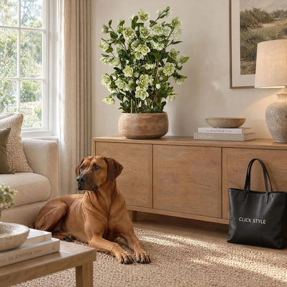 Artificial Green Hellebore Plant in Textured Taupe Pot – Realistic Green Faux Christmas Rose Flower Arrangement 85x52x52cm – Styled on Oak Sideboard with Rhodesian Ridgeback & CLICK STYLE Tote Bag | Click Style