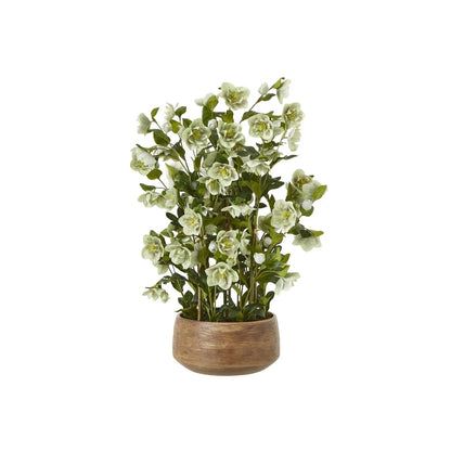 Artificial Green Hellebore Plant in Textured Taupe Pot – Realistic Green Faux Christmas Rose Flower Arrangement 85x52x52cm – Full Plant & Textured Taupe Pot Front View | Click Style