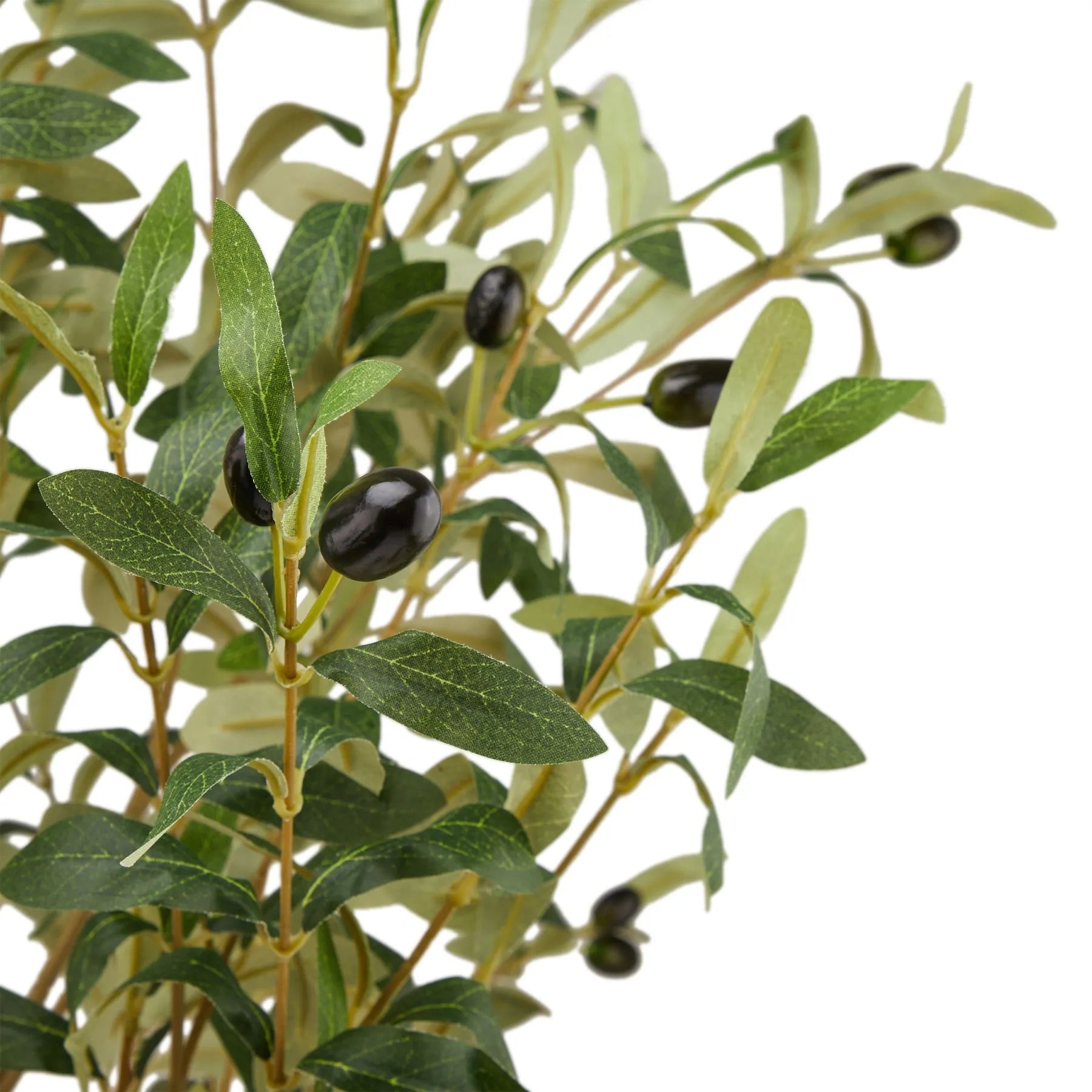 Artificial Large Faux Puglian Olive Tree 180cm Large Faux Olive Tree - Click Style