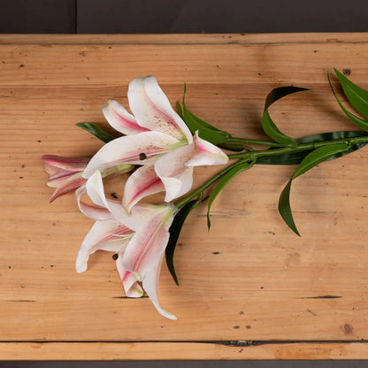 Artificial Long Stemmed Pink & White Oriental Stargazer Lily with Bendable Wired Stem – close-up of realistic faux flower head and stem on wooden tabletop 90cm | Click Style
