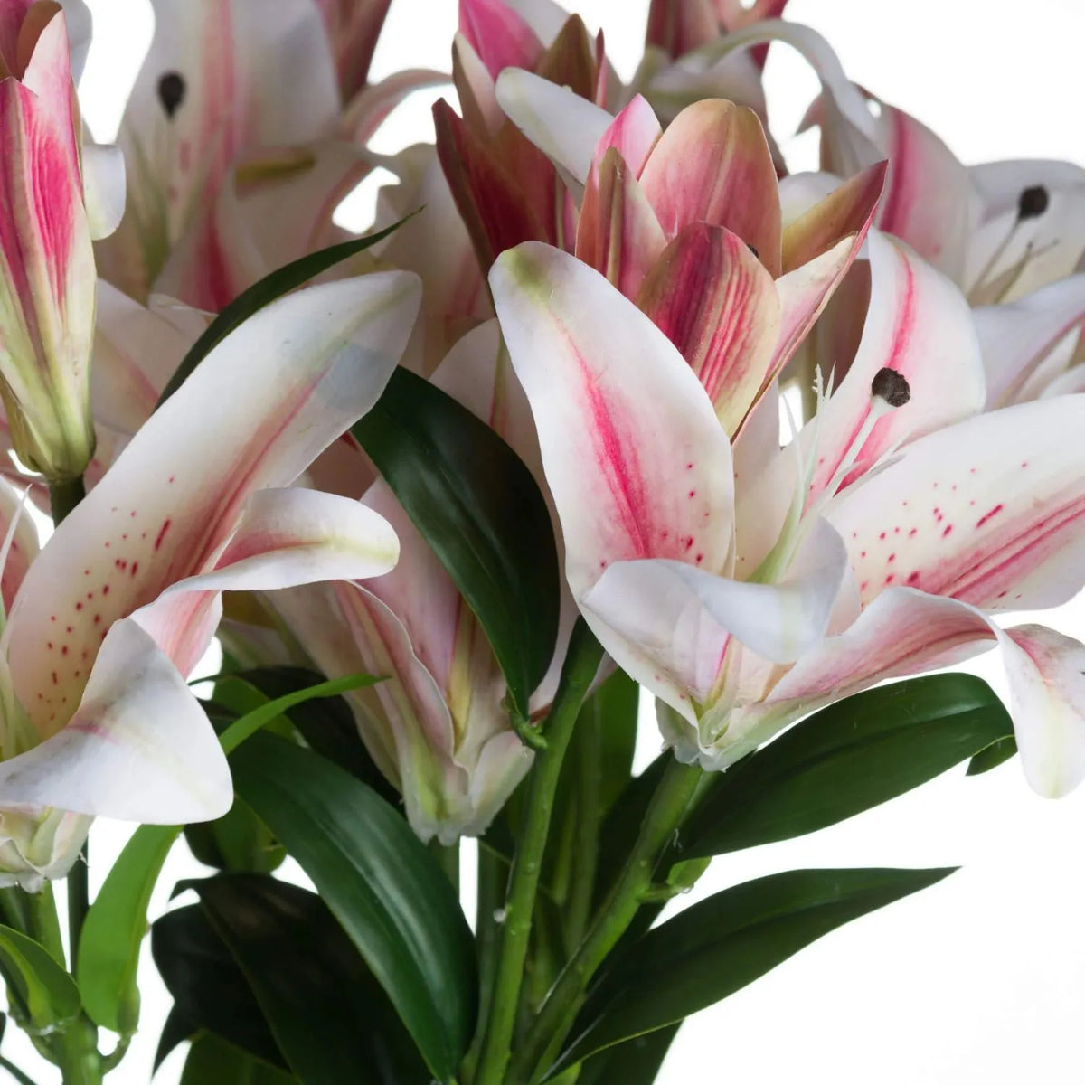 Artificial Long Stemmed Pink & White Oriental Stargazer Lily with Bendable Wired Stem – detailed close-up of realistic pink and white faux flower heads 90cm | Click Style
