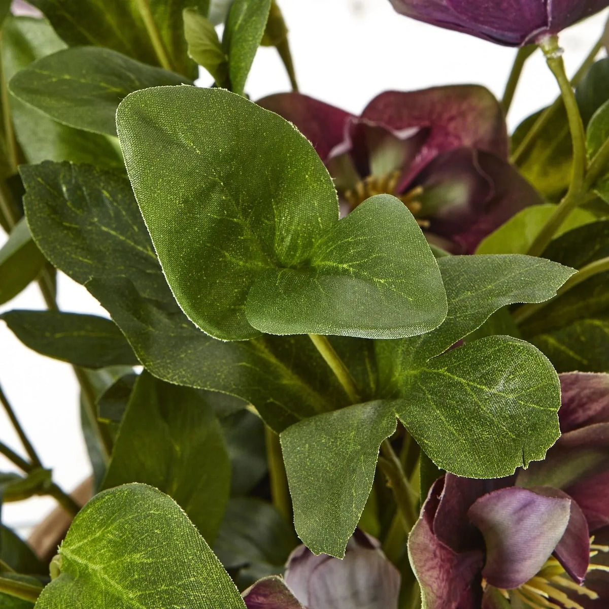 Artificial Mulberry Hellebore Plant in Taupe Ceramic Pot – Realistic Plum Faux Christmas Rose Flower Arrangement 41x38x33cm – Close-Up of Green Foliage & Natural Leaf Veining | Click Style