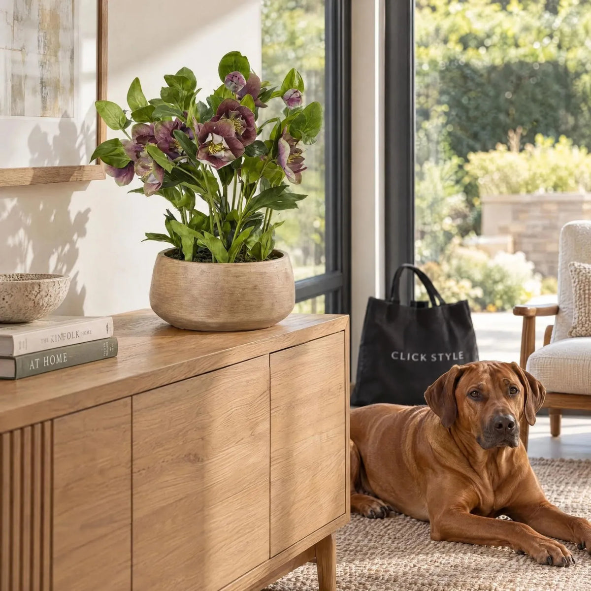 Artificial Mulberry Hellebore Plant in Taupe Ceramic Pot – Realistic Plum Faux Christmas Rose Flower Arrangement 41x38x33cm – Styled in Garden Room with Rhodesian Ridgeback | Click Style