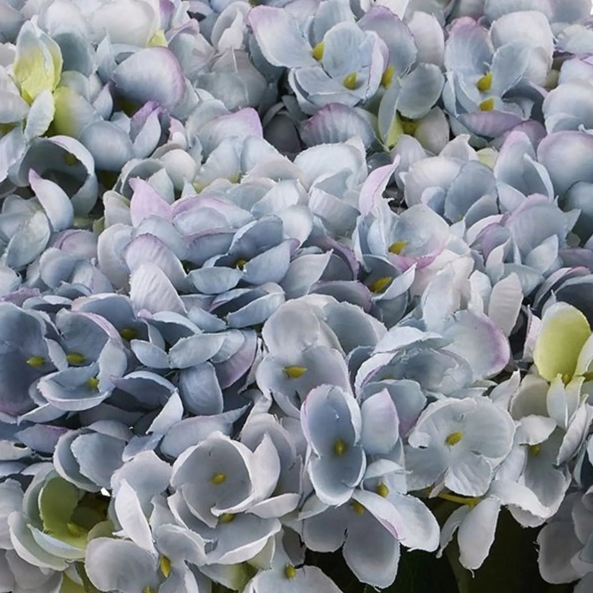 Artificial Multi-Tonal Blue Hydrangea Bouquet Stem with Five Flower Heads & Realistic Green Leaves – Faux Blue Hydrangea Flower 47x23x23cm – Detailed View of Soft Blue Lilac and Pale Green Florets with Realistic Fabric Texture | Click Style