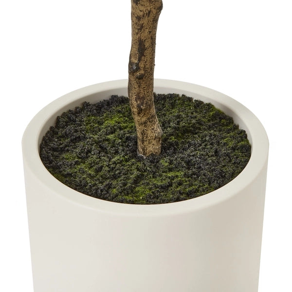 Artificial Olive Tree in White Pot with Black Olives 180cm Faux Olive Tree - Click Style