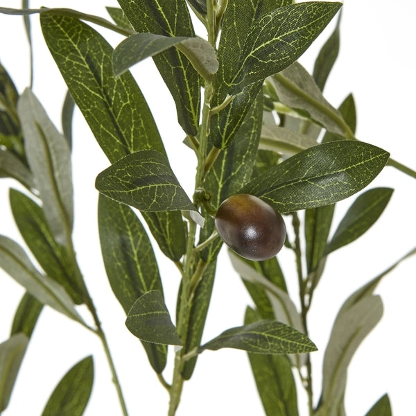 Artificial Olive Tree in White Pot with Black Olives 180cm Faux Olive Tree - Click Style