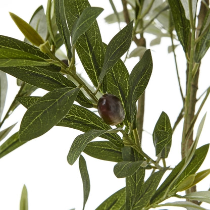 Artificial Olive Tree in White Pot with Black Olives 200cm Large Faux Olive Tree - Click Style