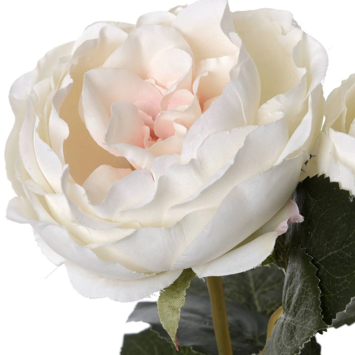 Artificial Pale Blush Garden Rose Stem with Large Open Bloom – Lifelike Cream & Blush Pink Faux Rose Flower with Realistic Green Foliage 64cm – Close-Up of Layered Cream Petals with Pale Blush Pink Centre | Click Style