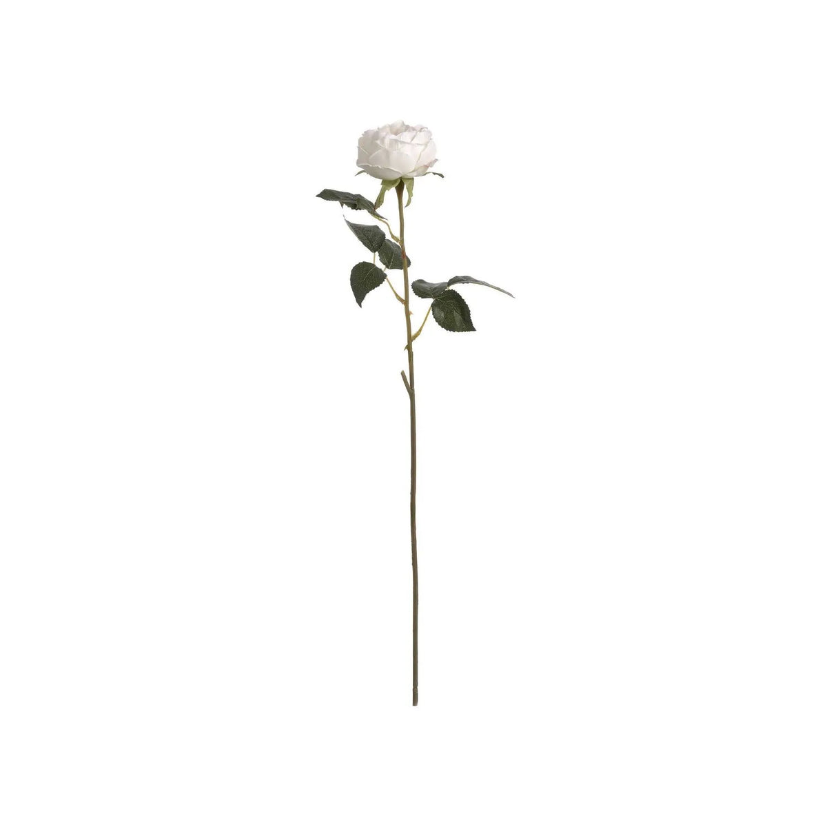 Artificial Pale Blush Garden Rose Stem with Large Open Bloom – Lifelike Cream & Blush Pink Faux Rose Flower with Realistic Green Foliage 64cm – Full Stem View | Click Style