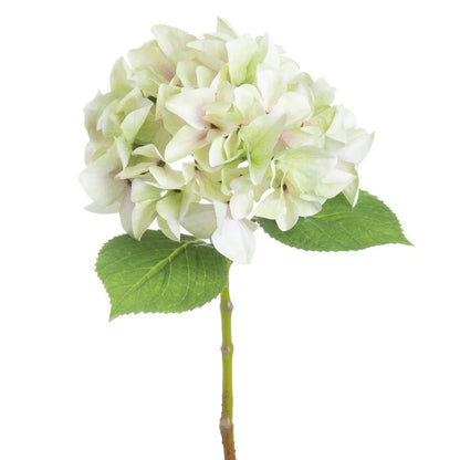 Artificial Pale Green Hydrangea Stem with Multi-Tonal Petals & Realistic Green Leaves – Lifelike Faux Green Hydrangea Flower 50x30x30cm – Close-Up of Pale Green and Cream Flower Head with Two Serrated Green Leaves | Click Style