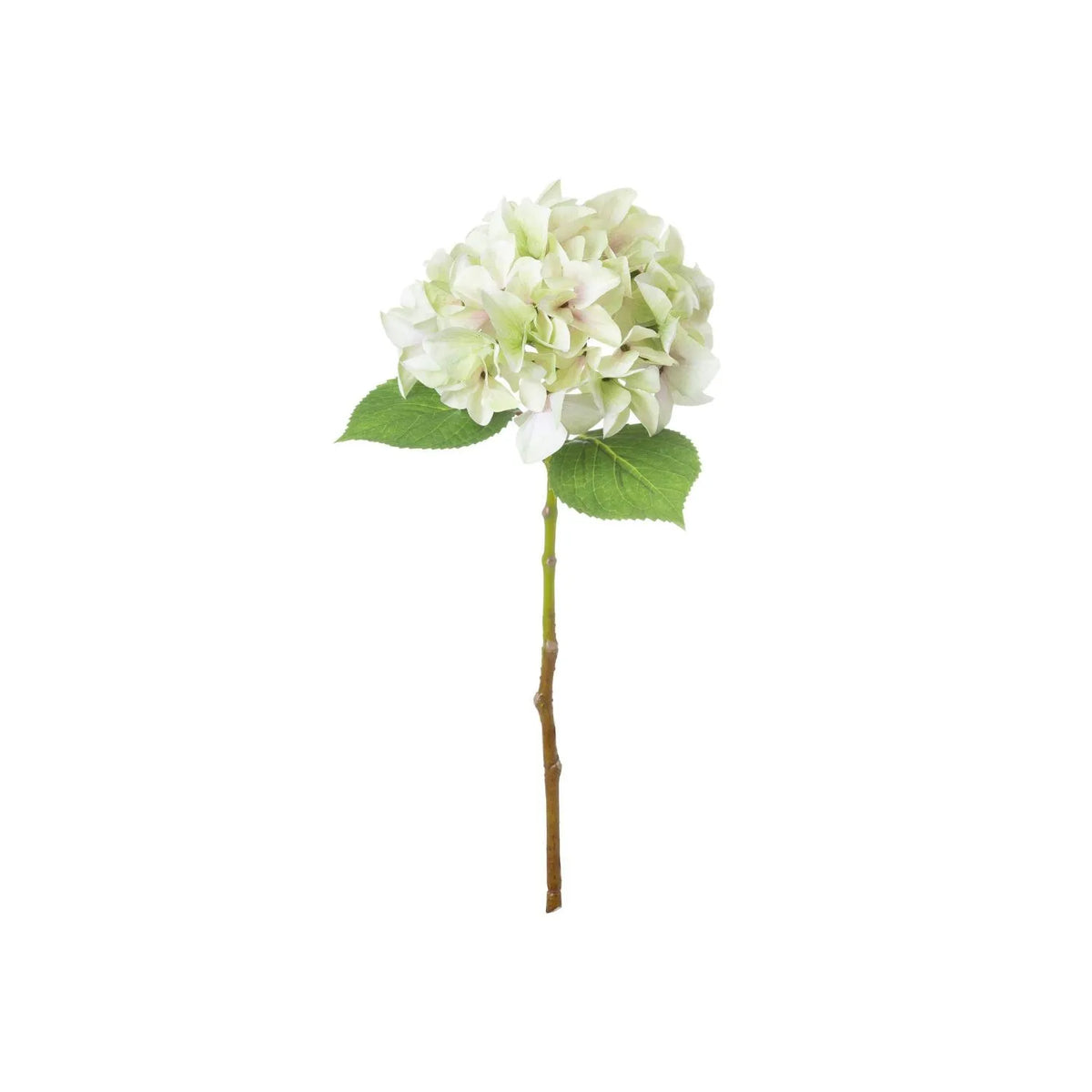 Artificial Pale Green Hydrangea Stem with Multi-Tonal Petals & Realistic Green Leaves – Lifelike Faux Green Hydrangea Flower 50x30x30cm – Full Single Stem with Rounded Flower Head on White Background | Click Style