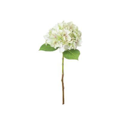 Artificial Pale Green Hydrangea Stem with Multi-Tonal Petals & Realistic Green Leaves – Lifelike Faux Green Hydrangea Flower 50x30x30cm – Full Single Stem with Rounded Flower Head on White Background | Click Style