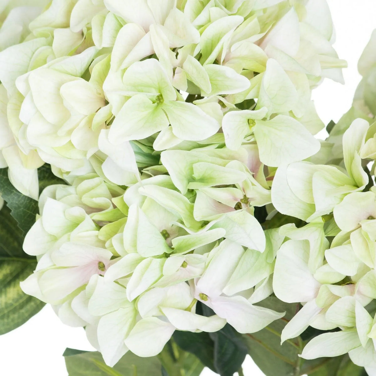 Artificial Pale Green Multi-Bloom Hydrangea Bouquet Stem with Realistic Foliage – Large Lifelike Faux Light Lime Green Hydrangea 58cm – Pale Green Petal Close-Up | Click Style