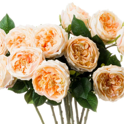 Artificial Pale Peach & Cream Portland Rose with Long Stem & Large Open Bloom – Lifelike Faux Peach Rose Flower with Realistic Green Foliage 72cm – Multiple Stems Showing Large Peach & Cream Rose Blooms & Realistic Green Foliage | Click Style