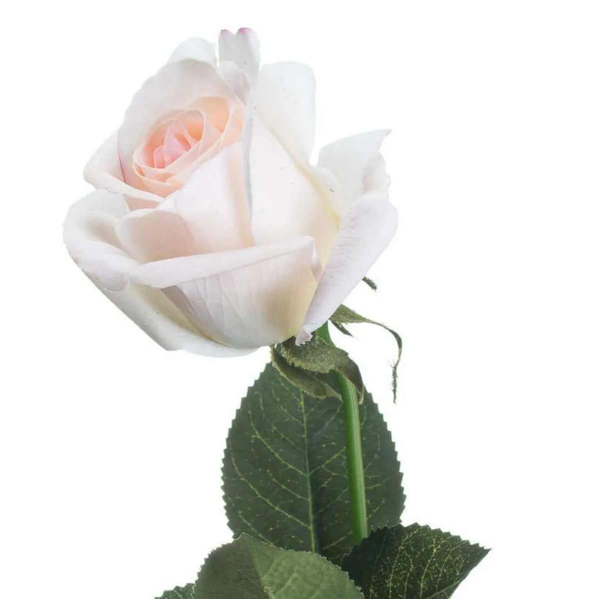 Artificial Pale Pink Tea Rose Stem with Realistic Green Foliage – Close-Up of Blush Pink Centre & Detailed Petals 65cm | Click Style