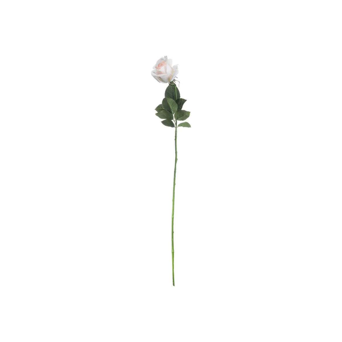 Artificial Pale Pink Tea Rose Stem with Realistic Green Foliage – Full Length Lifelike Pink Faux Rose Flower 65cm | Click Style