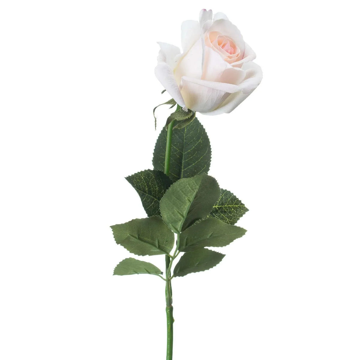 Artificial Pale Pink Tea Rose Stem with Realistic Green Foliage – Lifelike Pink Faux Rose Flower 65cm | Click Style