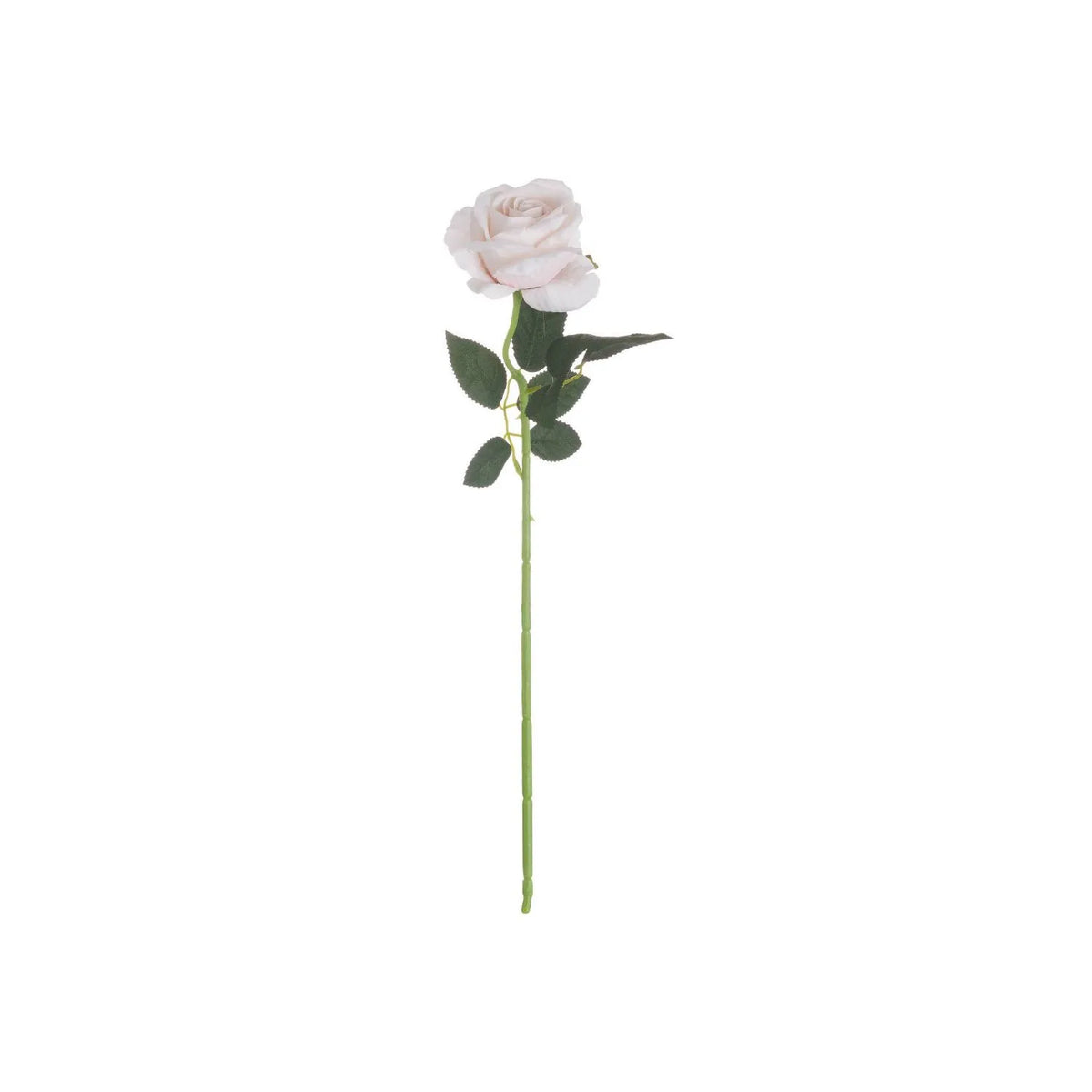 Artificial Pastel Pink Tea Rose Stem with Realistic Green Foliage – Lifelike Pale Pink Faux Rose Flower 53cm – Full Length Single Stem | Click Style