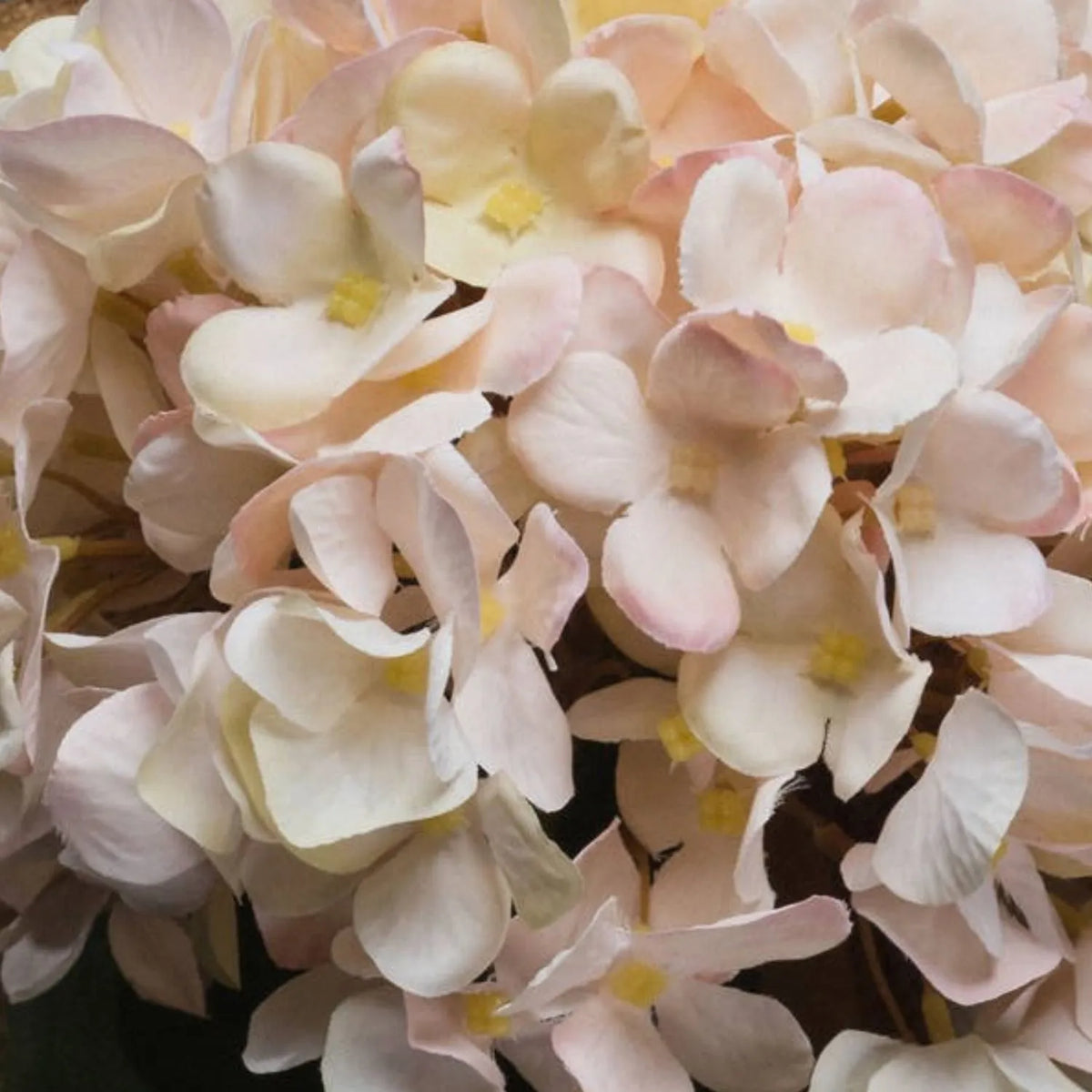 Artificial Peach Blush & Cream Hydrangea Stem with Realistic Green Leaves – Lifelike Faux Pink Hydrangea Flower 42x18x18cm – Extreme Close-Up of Textured Petals with Blush Pink Edges | Click Style