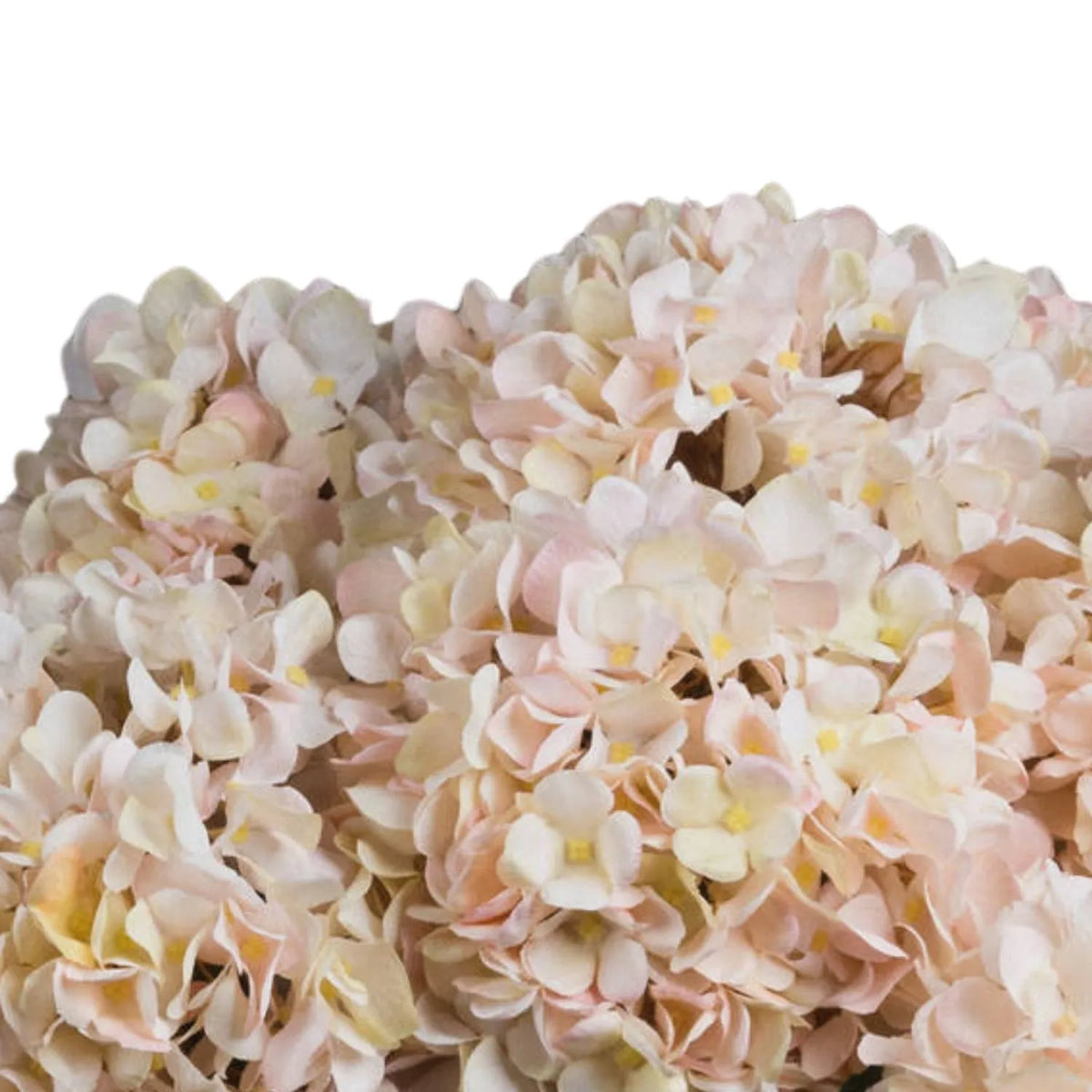 Artificial Peach Blush & Cream Hydrangea Stem with Realistic Green Leaves – Lifelike Faux Pink Hydrangea Flower 42x18x18cm – Rounded Bloom with Natural Peach Blush and Cream Colour Variations | Click Style