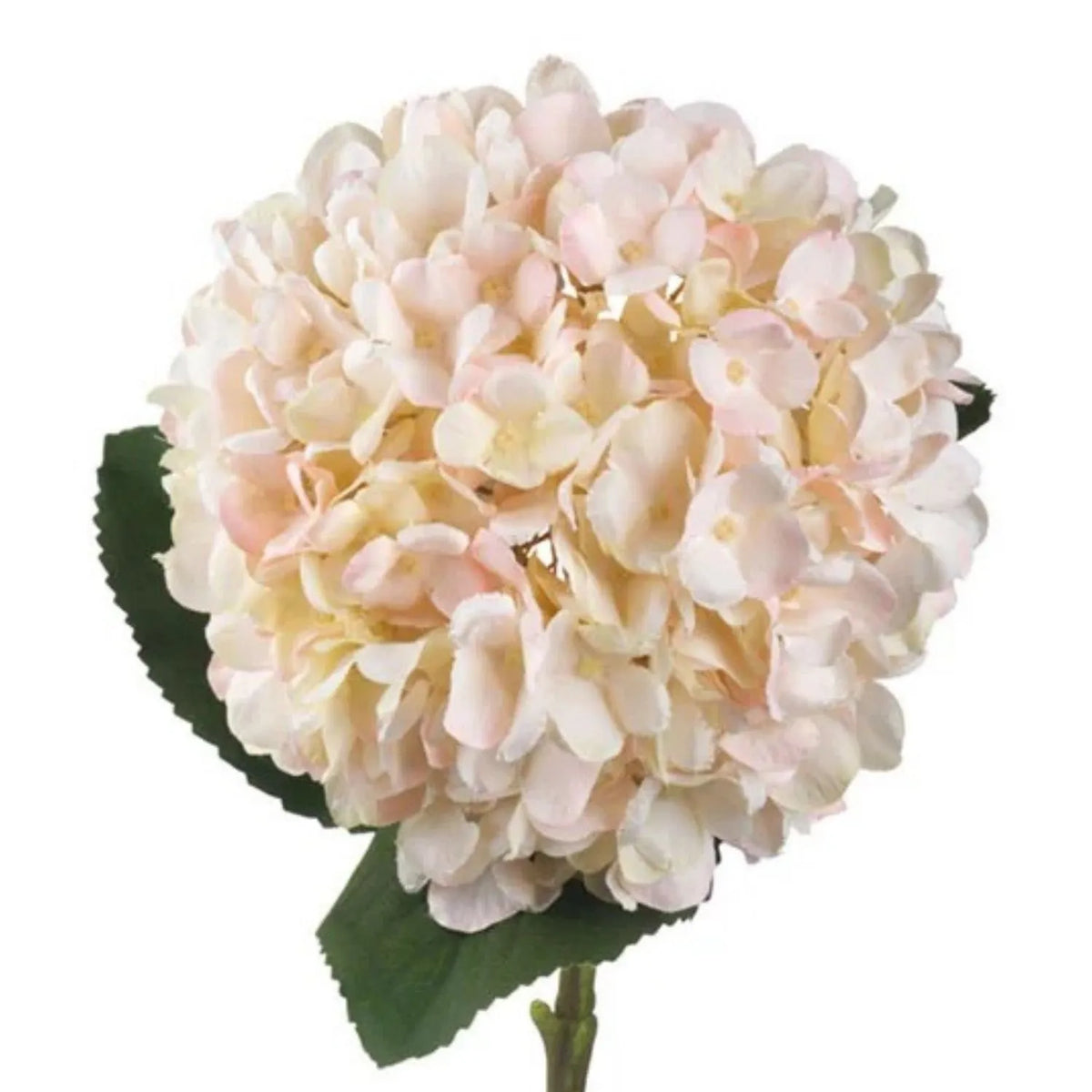 Artificial Peach Blush & Cream Hydrangea Stem with Realistic Green Leaves – Lifelike Faux Pink Hydrangea Flower 42x18x18cm – Close-Up of Cream and Blush Pink Hydrangea Blooms | Click Style