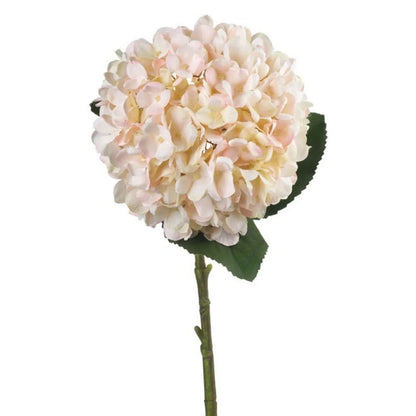 Artificial Peach Blush & Cream Hydrangea Stem with Realistic Green Leaves – Lifelike Faux Pink Hydrangea Flower 42x18x18cm – Rounded Flower Head with Green Leaves and Stem | Click Style