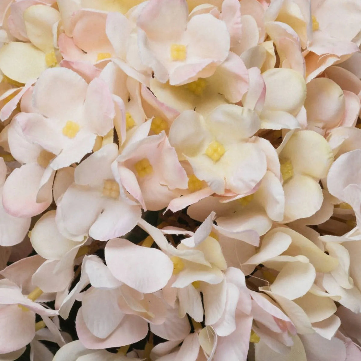 Artificial Peach Blush & Cream Hydrangea Stem with Realistic Green Leaves – Lifelike Faux Pink Hydrangea Flower 42x18x18cm – Detailed View of Individual Petals with Soft Yellow Centres | Click Style