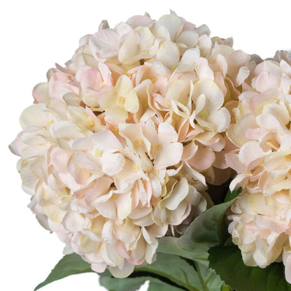 Artificial Peach Blush & Cream Hydrangea Stem with Realistic Green Leaves – Lifelike Faux Pink Hydrangea Flower 42x18x18cm – Close-Up of Individually Hand-Painted Peach and Cream Petals | Click Style