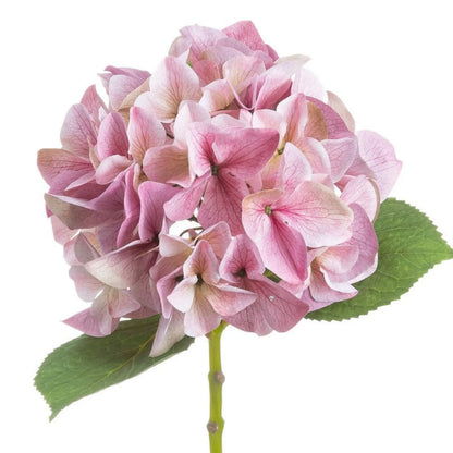 Artificial Pink Hydrangea Stem with Multi-Tonal Petals & Realistic Green Leaves – Lifelike Faux Pink Hydrangea Flower 50x30x30cm featuring a detailed view of the multi-tonal pink hydrangea bloom with delicate petal veining, soft cream highlights and realistic green foliage | Click Style