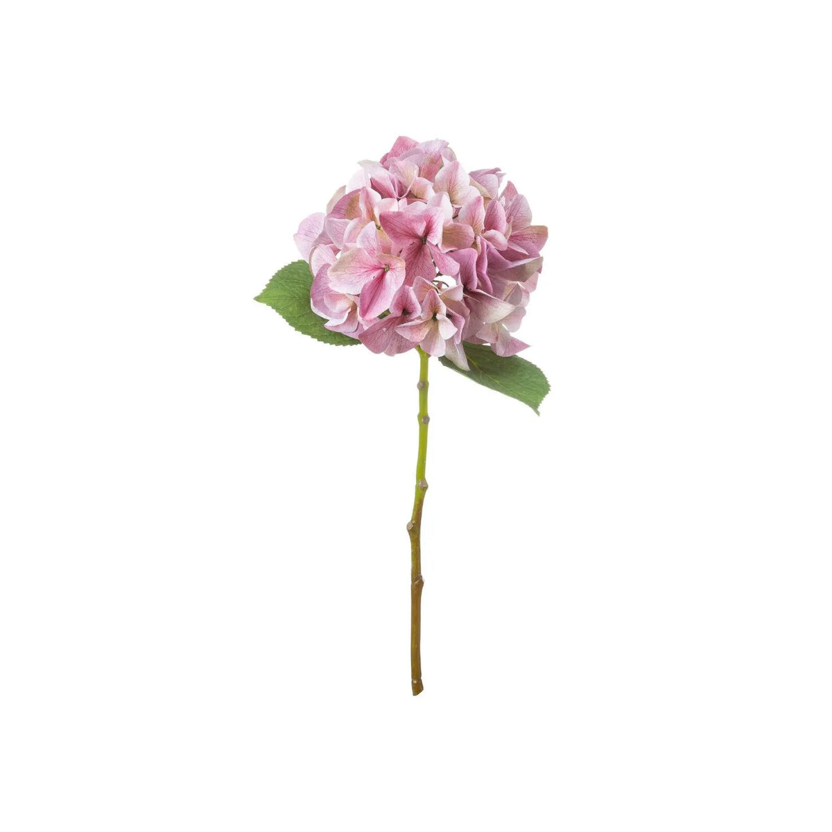 Artificial Pink Hydrangea Stem with Multi-Tonal Petals & Realistic Green Leaves – Lifelike Faux Pink Hydrangea Flower 50x30x30cm showing the complete single stem with rounded pink flower head, serrated green leaves and long green-brown wired stem against a white background | Click Style