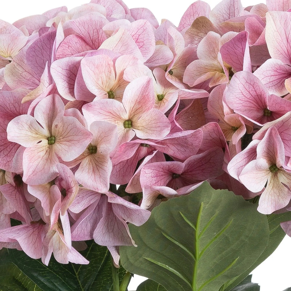 Artificial Pink Multi-Bloom Hydrangea Bouquet Stem with Realistic Green Leaves – Lifelike Faux Pink Hydrangea Flower Arrangement 58x47x47cm macro photograph highlighting finely veined pink and mauve hydrangea petals, pale cream flower centres and a broad green leaf with prominent veins and realistic textured foliage | Click Style