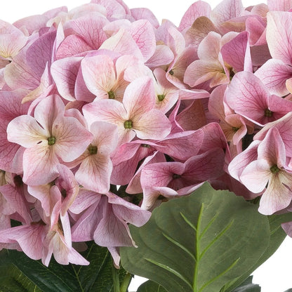 Artificial Pink Multi-Bloom Hydrangea Bouquet Stem with Realistic Green Leaves – Lifelike Faux Pink Hydrangea Flower Arrangement 58x47x47cm macro photograph highlighting finely veined pink and mauve hydrangea petals, pale cream flower centres and a broad green leaf with prominent veins and realistic textured foliage | Click Style