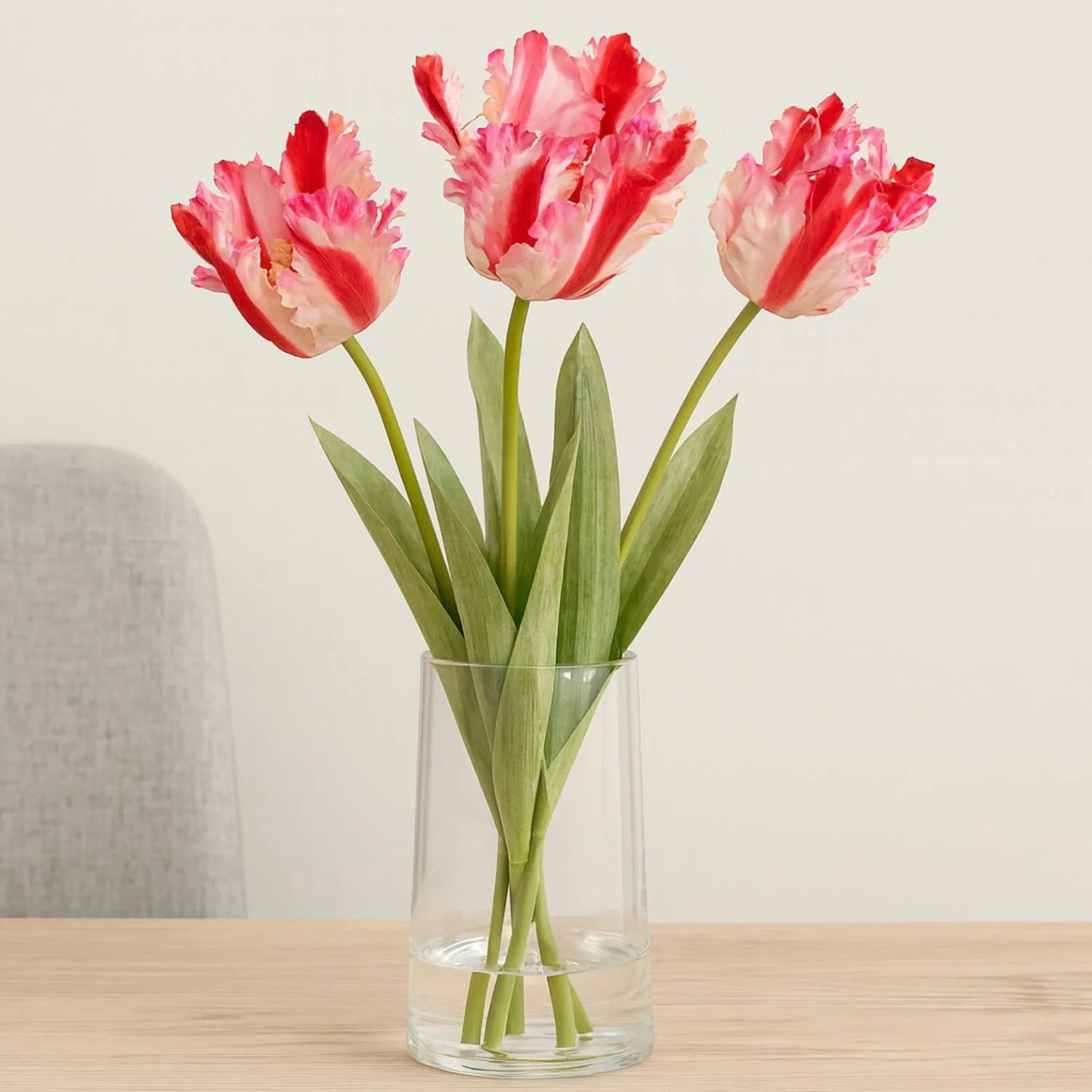 Artificial Pink & Red Parrot Tulip Stems in White Vase – Lifelike Faux Spring Flowers with Ruffled Feathered Petals | Click Style