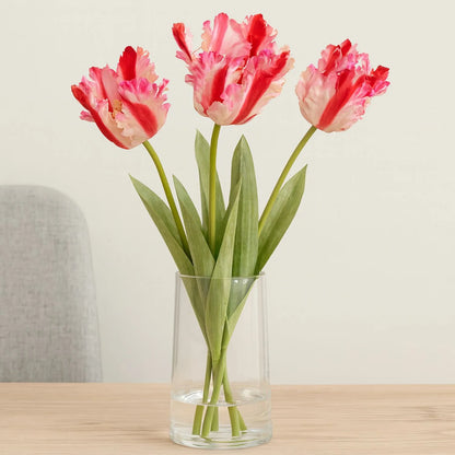 Artificial Pink & Red Parrot Tulip Stems in White Vase – Lifelike Faux Spring Flowers with Ruffled Feathered Petals | Click Style