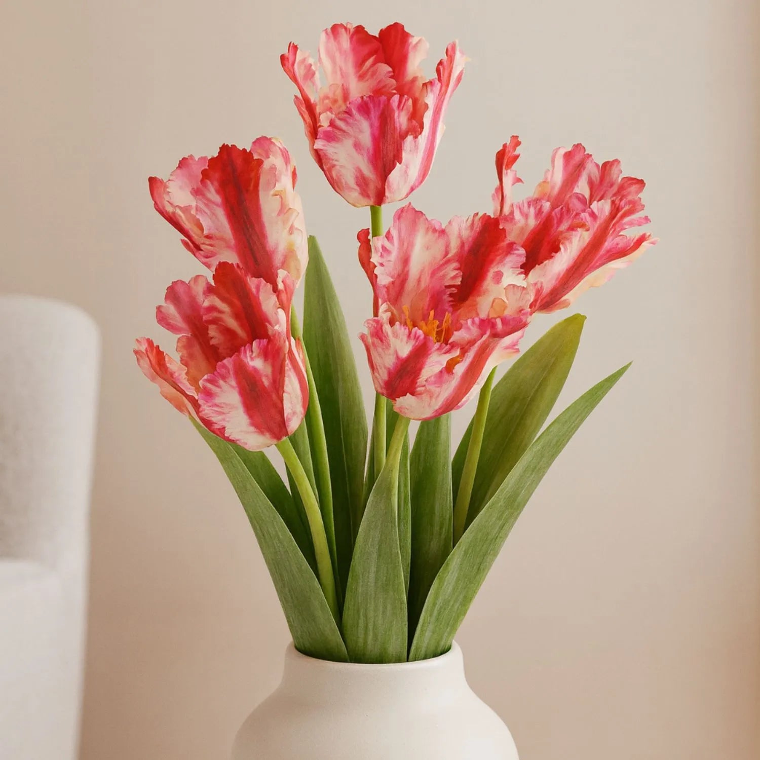 Artificial Pink & Red Parrot Tulip Stems in White Vase – Lifelike Faux Spring Flowers with Ruffled Feathered Petals | Click Style