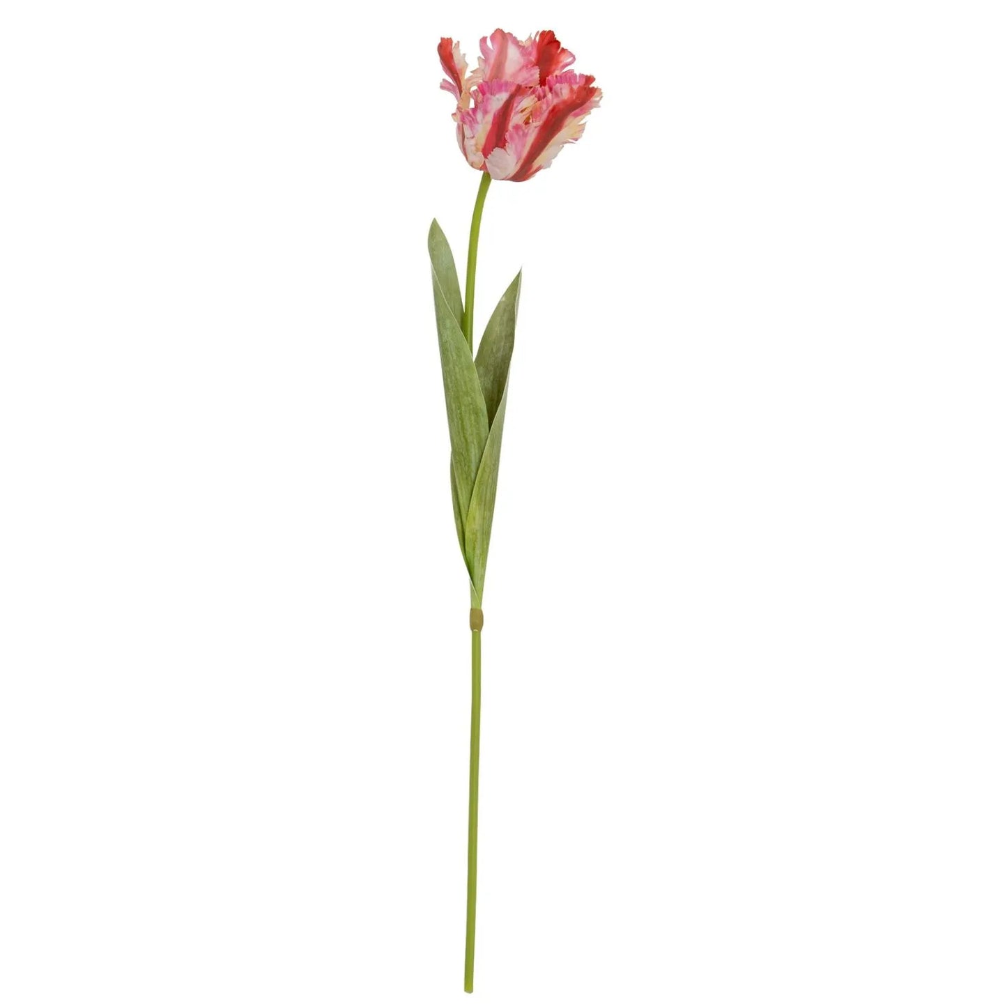 Artificial Pink & Red Parrot Tulip Stems in White Vase – Lifelike Faux Spring Flowers with Ruffled Feathered Petals | Click Style