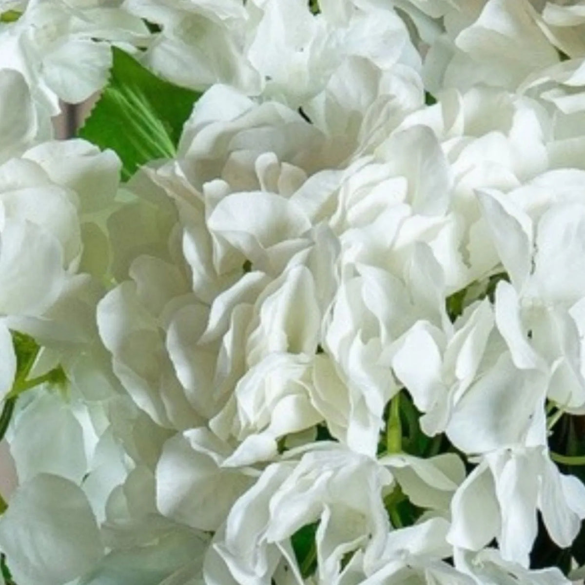 Artificial Pure White Long Stem Hydrangea with Full Rounded Flower Head & Realistic Green Leaves – Lifelike White Faux Hydrangea Flower 70cm extreme close-up highlighting the soft white fabric petals, natural folds and delicate floral detailing | Click Style