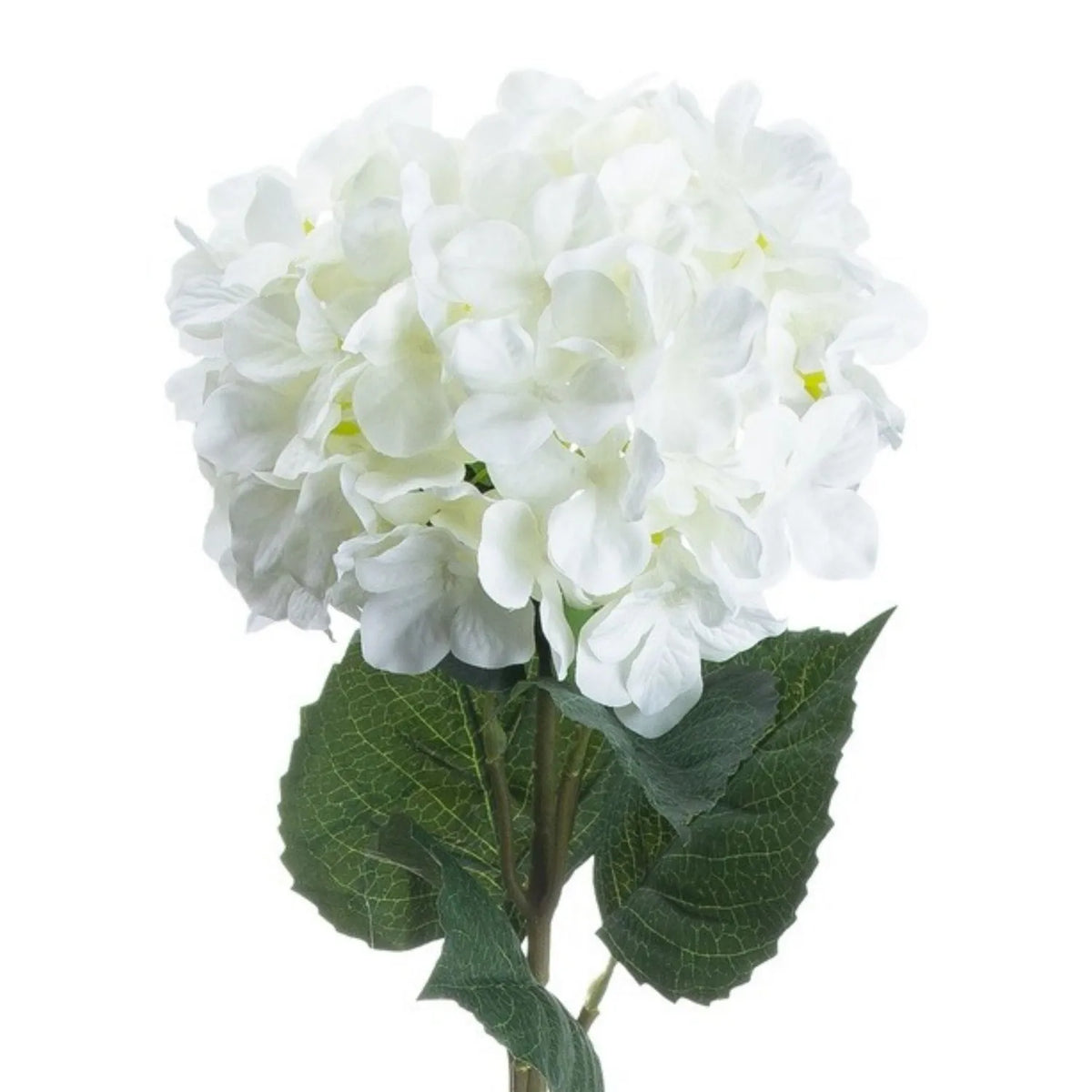 Artificial Pure White Long Stem Hydrangea with Full Rounded Flower Head & Realistic Green Leaves – Lifelike White Faux Hydrangea Flower 70cm detailed view of the densely clustered white florets and realistic dark green veined foliage | Click Style