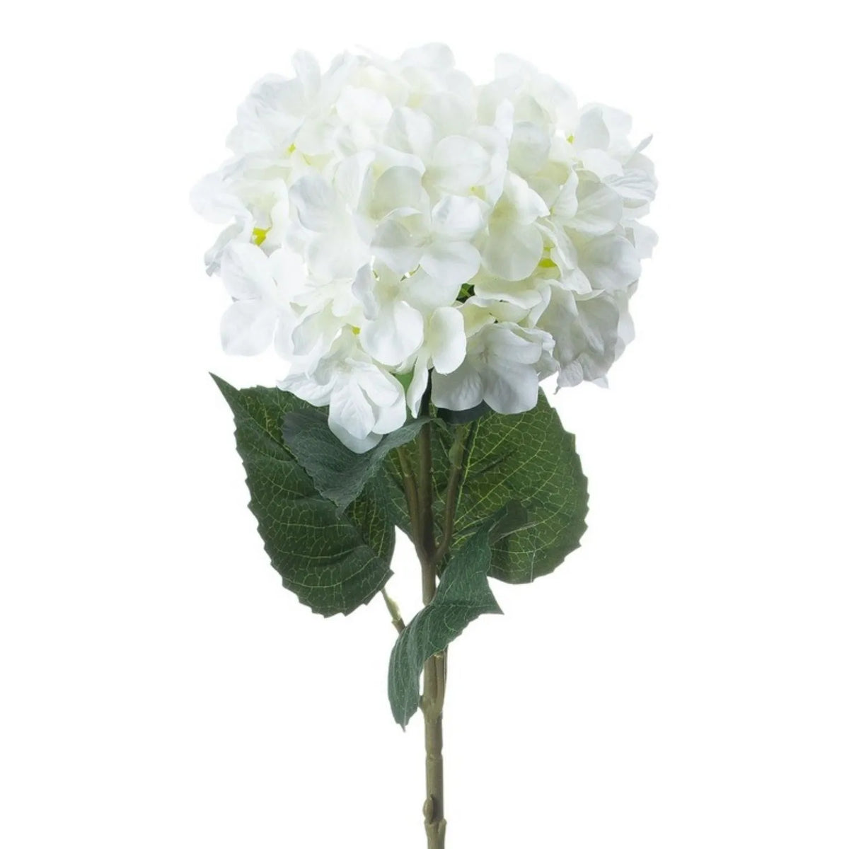 Artificial Pure White Long Stem Hydrangea with Full Rounded Flower Head & Realistic Green Leaves – Lifelike White Faux Hydrangea Flower 70cm close-up showing the rounded white flower head, delicate petals and textured green leaves | Click Style