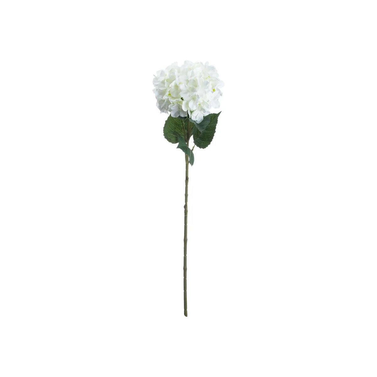Artificial Pure White Long Stem Hydrangea with Full Rounded Flower Head & Realistic Green Leaves – Lifelike White Faux Hydrangea Flower 70cm showing the complete single stem with dark green foliage against a white background | Click Style