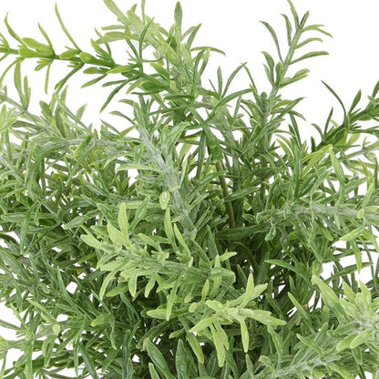 Artificial Rosemary Plant in Grey Stone-Effect Pot with Realistic Green Foliage – Lifelike Faux Potted Herb 24x24x24cm close-up of layered green foliage showing narrow leaves, delicate surface textures and natural colour variations | Click Style