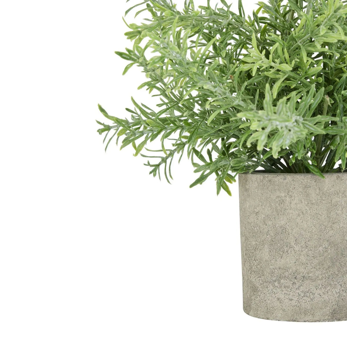Artificial Rosemary Plant in Grey Stone-Effect Pot with Realistic Green Foliage – Lifelike Faux Potted Herb 24x24x24cm close-up showing trailing rosemary sprigs and the textured grey stone-effect pot against a white background | Click Style