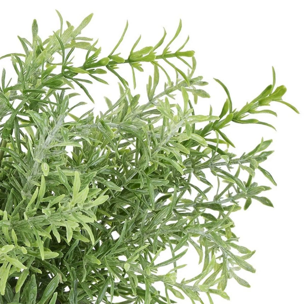 Artificial Rosemary Plant in Grey Stone-Effect Pot with Realistic Green Foliage – Lifelike Faux Potted Herb 24x24x24cm detailed close-up of slender rosemary-style sprigs with pointed green leaves and realistic branching | Click Style
